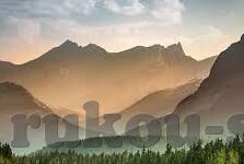 蔚山现代足球比分-深度解析，蔚山现代足球比分背后的战术博弈与赛季征程